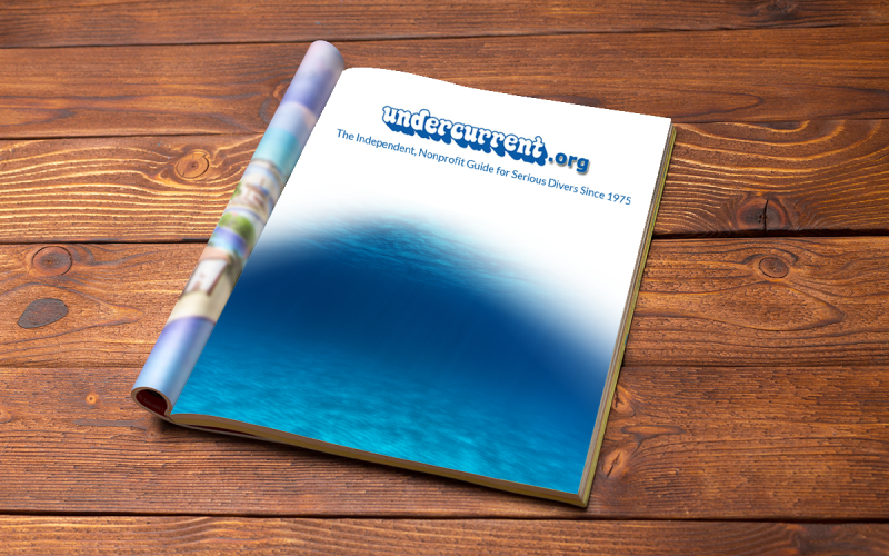 April 2006 Edition of Undercurrent